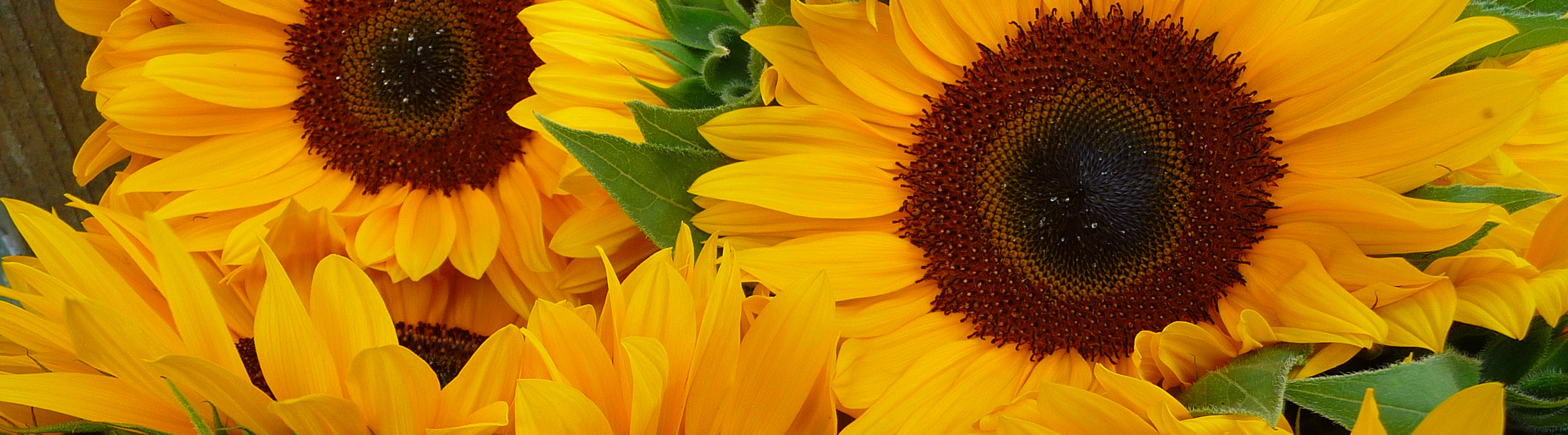 Service-Links-Steuerkanzlei